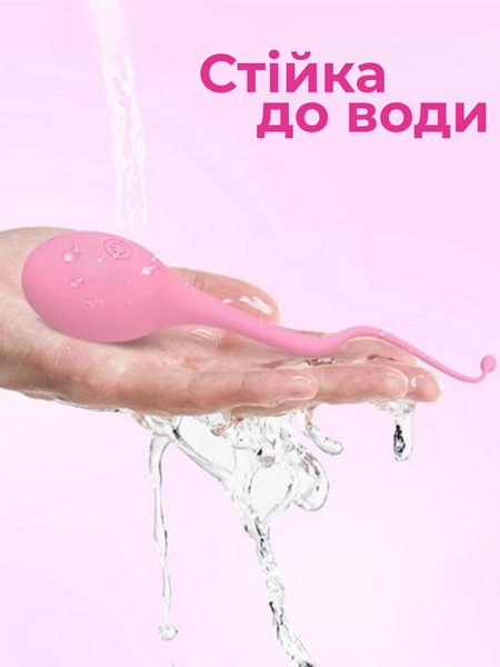 Вібро яйце Passion Силіконове на пульті від USB з хвостиком 6501103892 фото