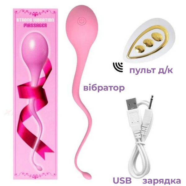 Вібро яйце Passion Силіконове на пульті від USB з хвостиком 6501103892 фото
