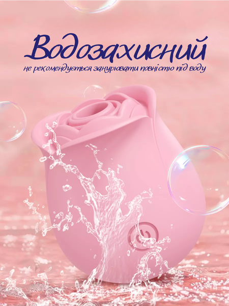 Вакуумний вібратор Passion Роза USB Рожевий 6501103925 фото