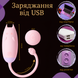 Віброяйце з пультом Passion Кішечка MeoW USB Рожевий 6501103962 фото 2