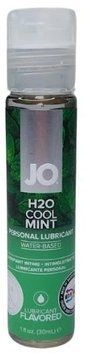Лубрикант System JO H2O зі смаком Прохолодної М'яти 30 мл 796494103838 фото